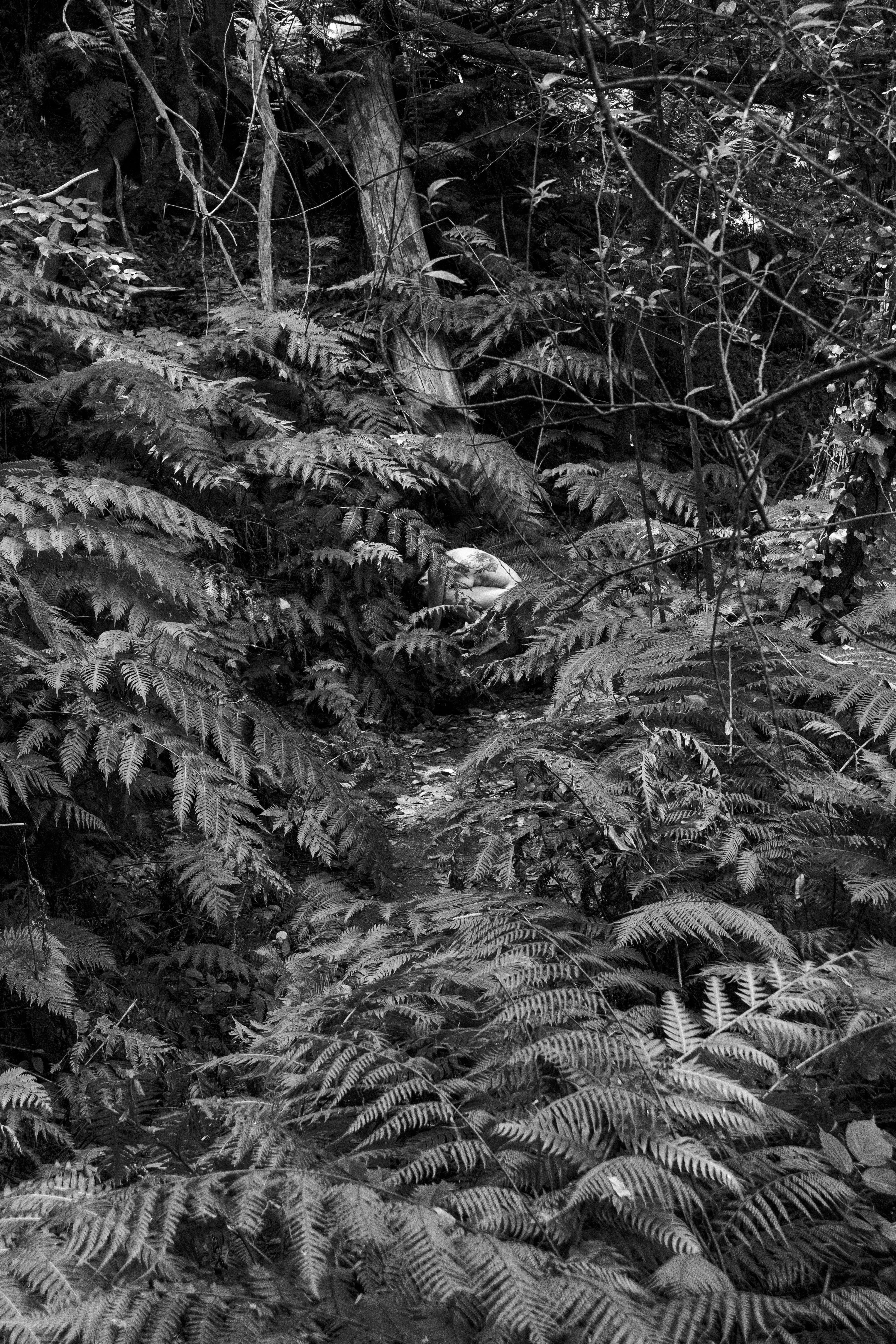 Photo 09