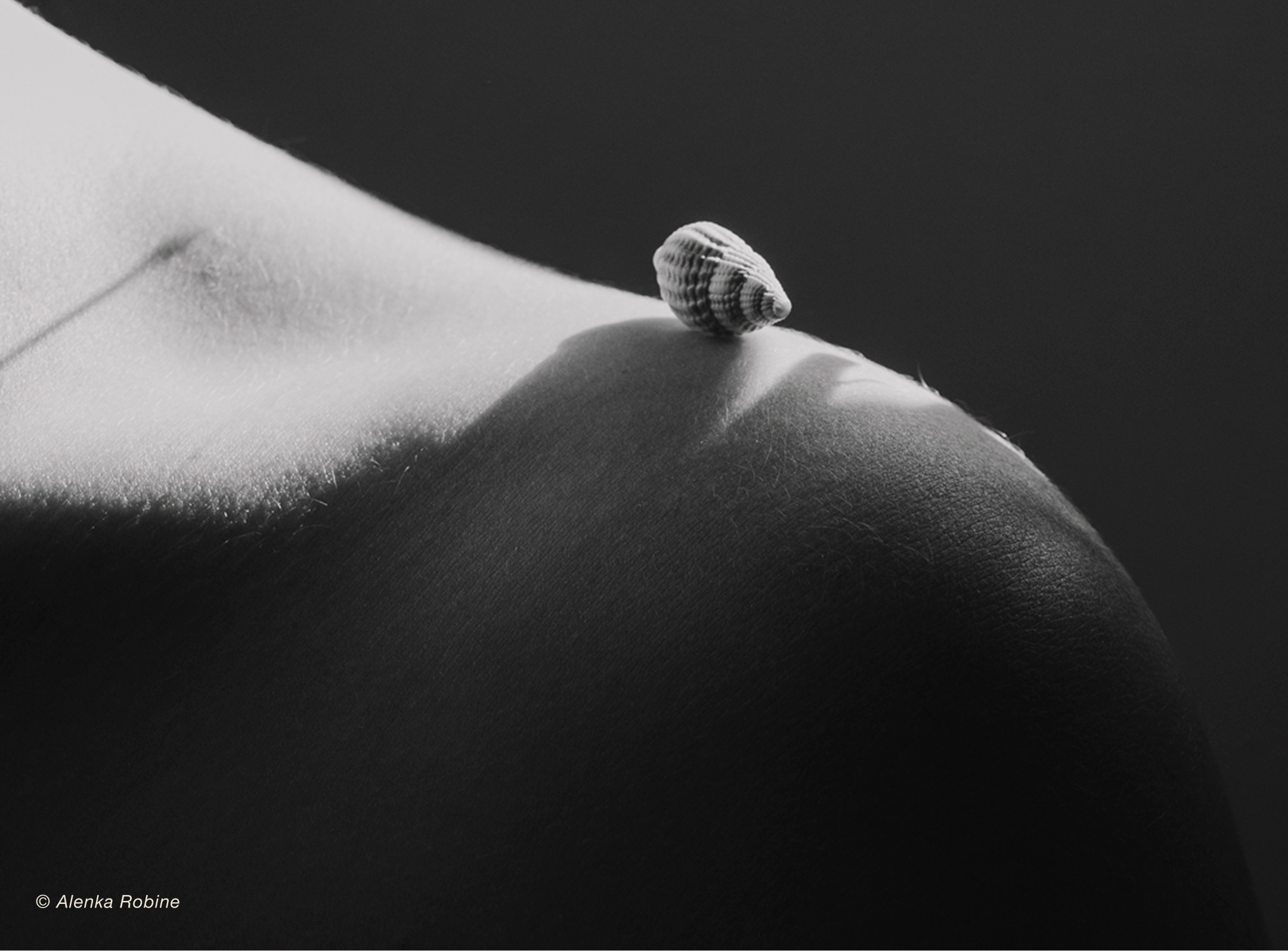 Photographie thérapeutique